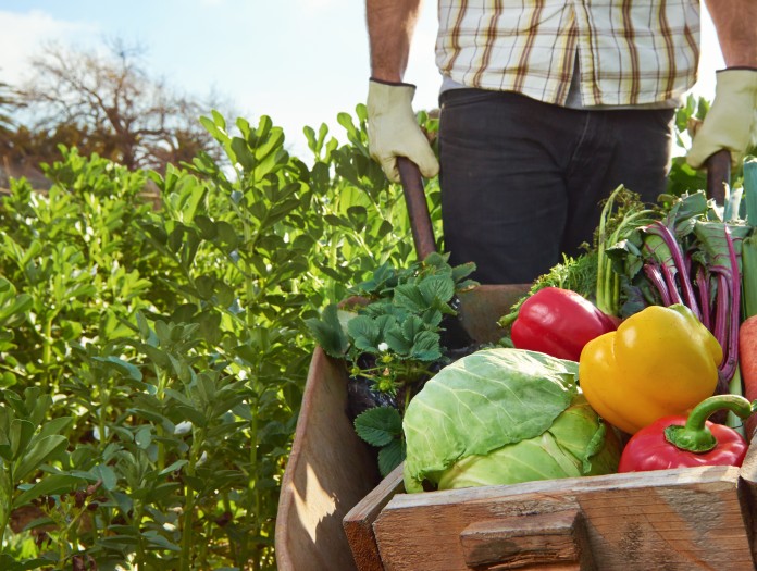 Comment sauver l'agriculture bio en France ?